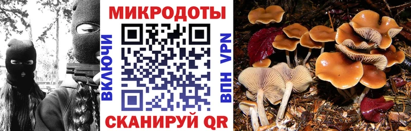 Галлюциногенные грибы GOLDEN TEACHER  где купить наркотик  Белоярский 